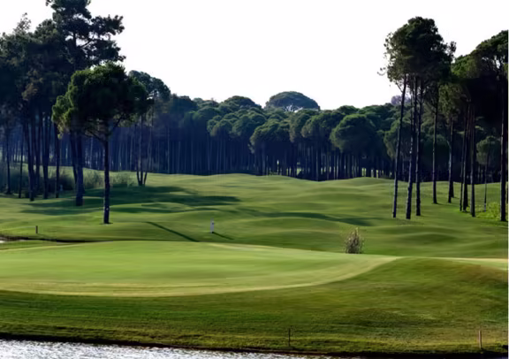 Golf photo 2